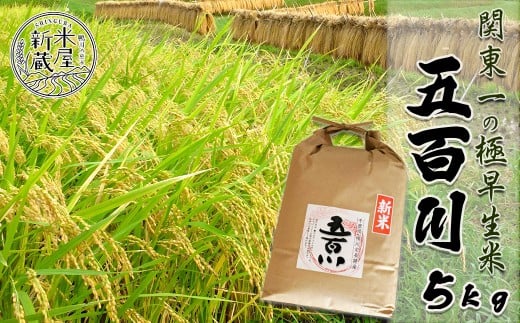 《令和７年産》【米屋新蔵】関東一の極早生米『五百川』５kg　[0016-0026]
