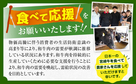 【令和8年5月配送】【畜産農家応援】宮崎牛 ロースステーキ (250g×2枚) 500g_CC66-25-05