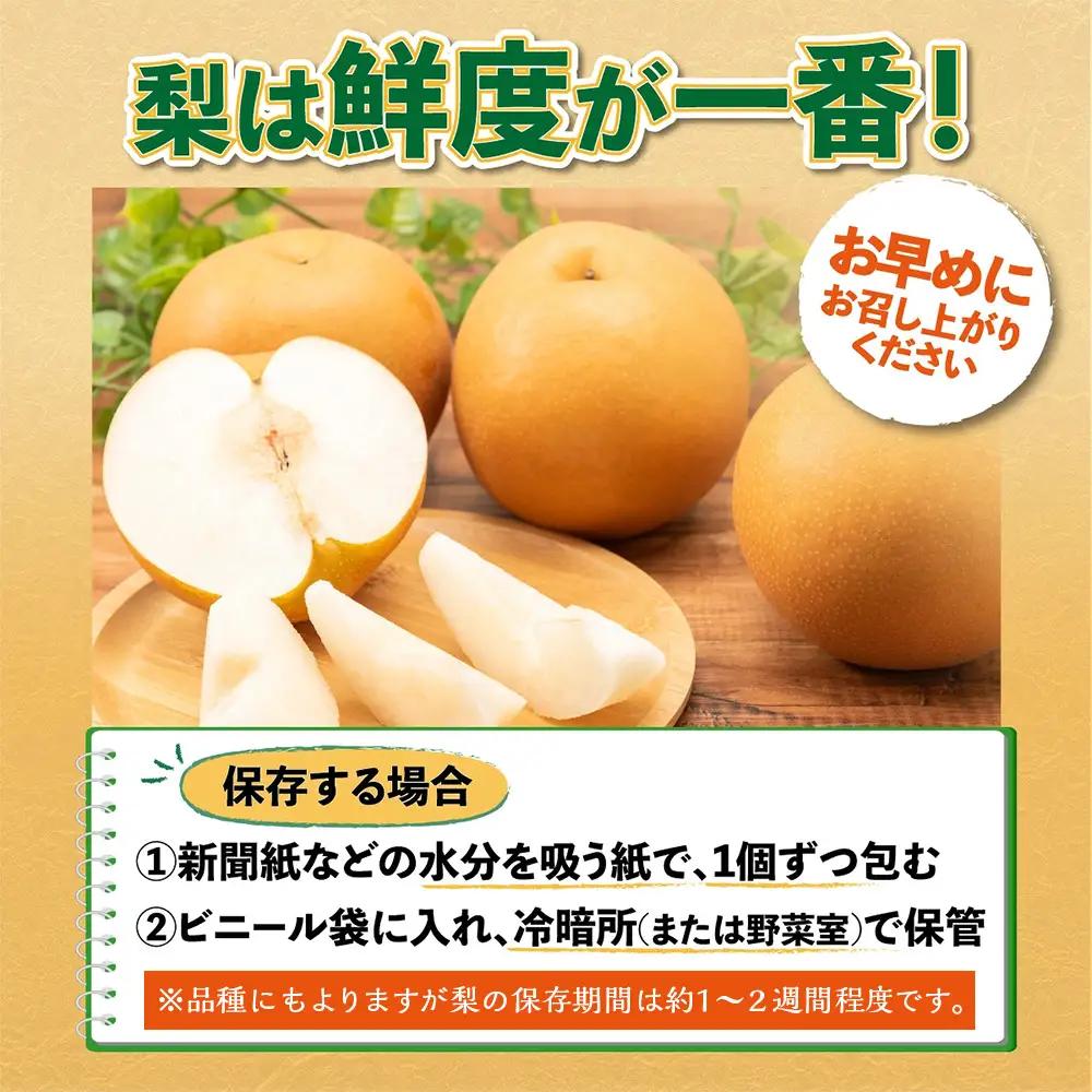 佐賀県産 梨 約5kg 旬の梨