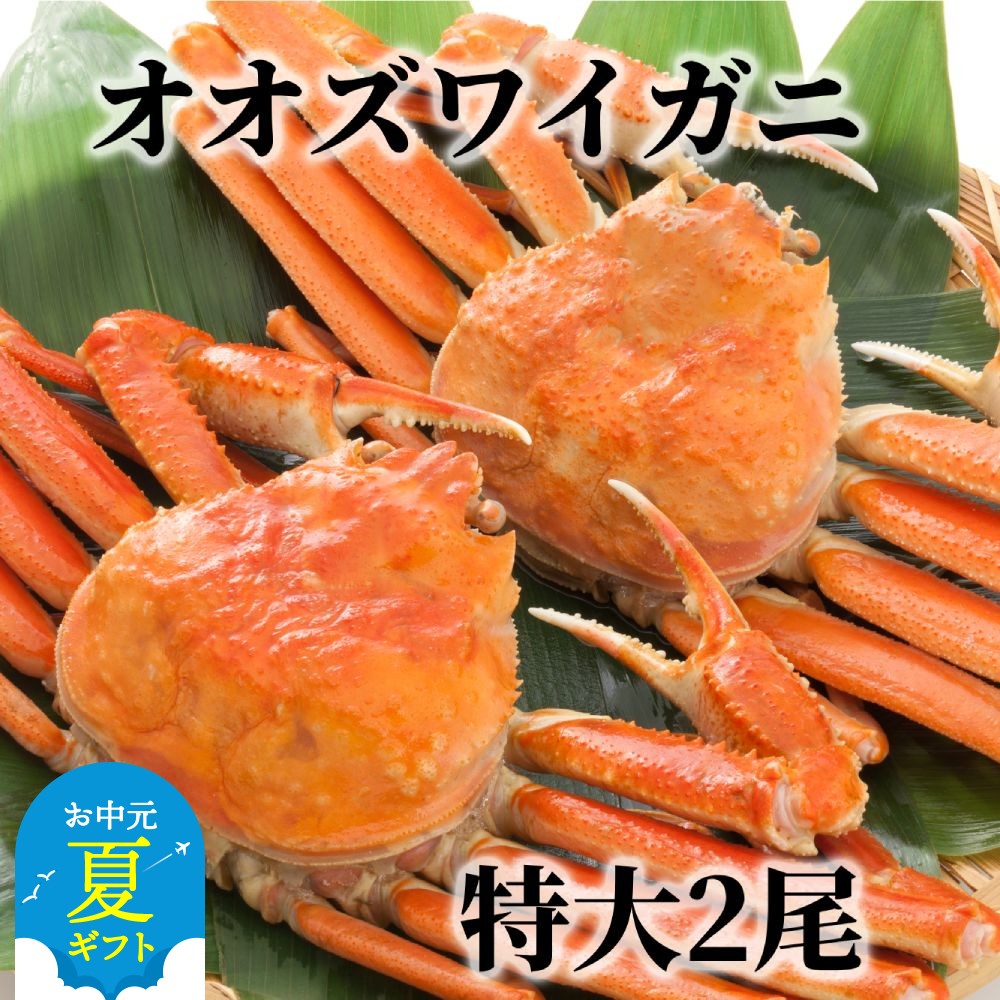 【ふるさと納税】北海道産 特大 ボイル オオズワイガニ 姿 2尾 1.5kg 内外 | お中元 御中元 夏ギフト ギフト 贈り物 贈答 国産 カニ かに 蟹 ずわいがに ずわい蟹 ズワイガニ 北海道 ズワイガニ姿 お取り寄せ 冷凍 鍋 味噌汁 だし 雑炊