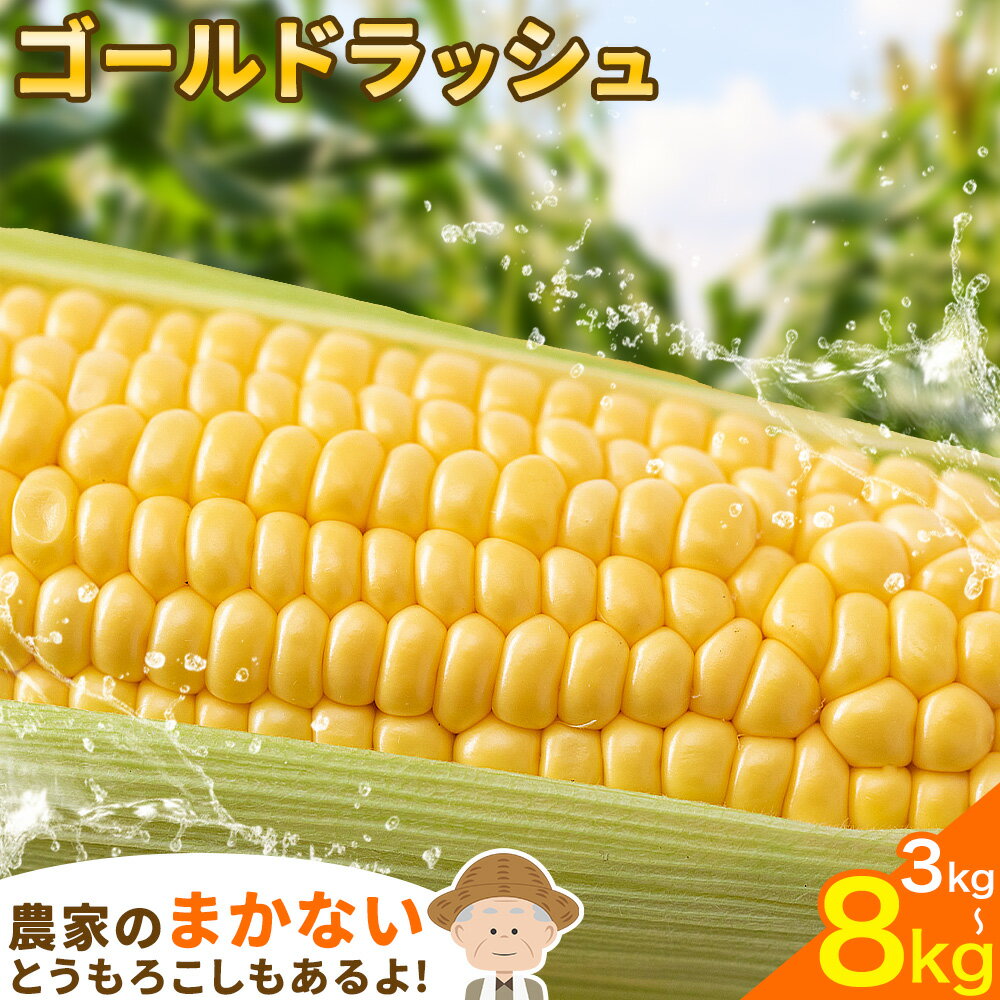 【ふるさと納税】 農家のまかないもあるよ　とうもろこし 野木町産 老沼 利治《2026年6月中旬-7月中旬頃出荷》先行予約 野菜 スイートコーン栃木県 野木町 訳あり ワケアリ　生食可能 旬の野菜 バーベキュー 焼き 茹で とうもろこし ゴールドラッシュ イエロー 朝採れ