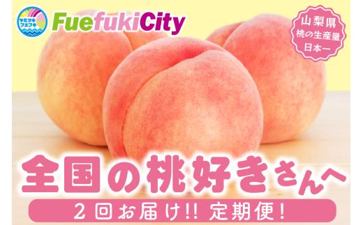 【2026年発送 先行予約】2回定期便 旬のフルーツ定期便（桃白鳳系2kg・桃白桃系2kg） 180-007-26y