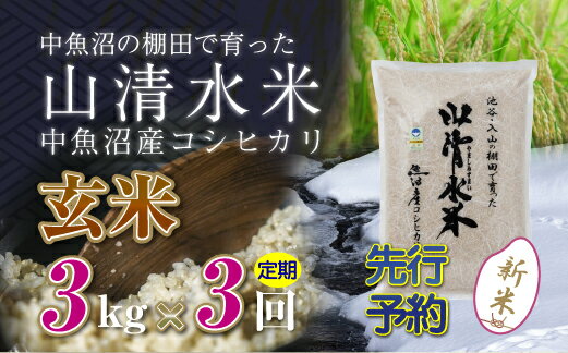 【ふるさと納税】【定期便／全3回】玄米3kg 新潟県魚沼産コシヒカリ「山清水米」 　お届け：寄附入金確認後、順次発送します。