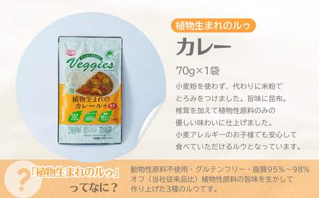 カレー粉 植物生まれのカレールゥ 3袋 スパイスカレー カレー粉  植物性 井上スパイス