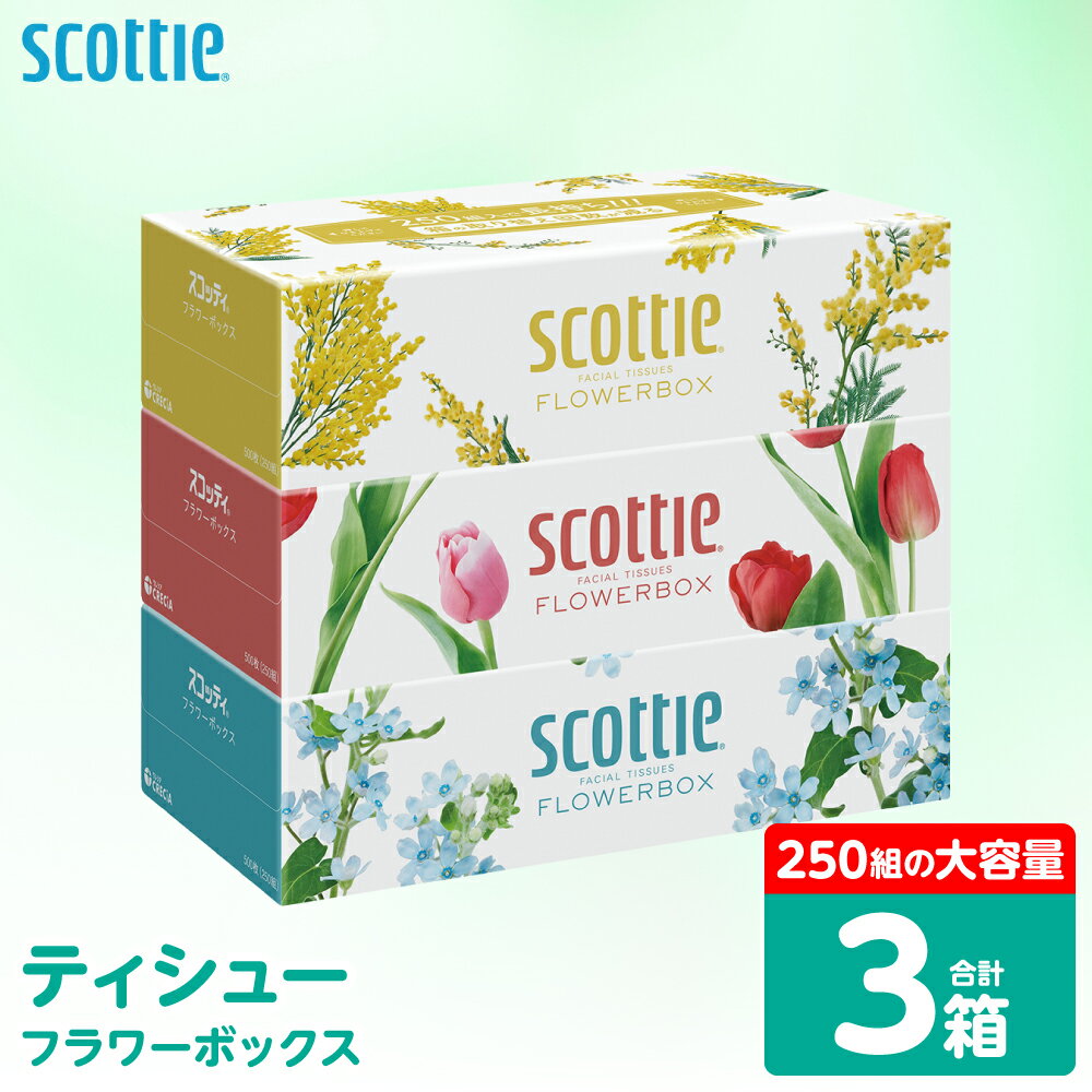 【ふるさと納税】 【スコッティ】 ティシュー フラワーボックス 250組 3箱 ティッシュ 日用品 生活必需品 防災備蓄 ストック 備蓄 新生活 防災 消耗品 生活用品 日用消耗品 箱ティッシュ 送料無料