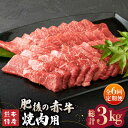 【ふるさと納税】【全6回定期便】【数量限定】肥後の赤牛 焼肉 用約500g【山鹿食品企画】[ZBO018]