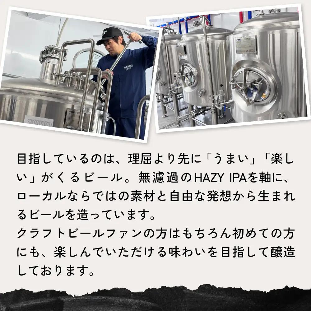 クラフトビール NORTHERN BREW ＜ TAP1(ABIRA OATS HAZY) ＞ 6本 250ml 北海道 安平町 ビール 地ビール 缶ビール 人気 定番 ギフト