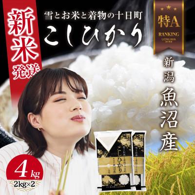 ふるさと納税 十日町市 令和7年産 新潟県 魚沼産 コシヒカリ 4kg (お米の美味しい炊き方ガイド付き)