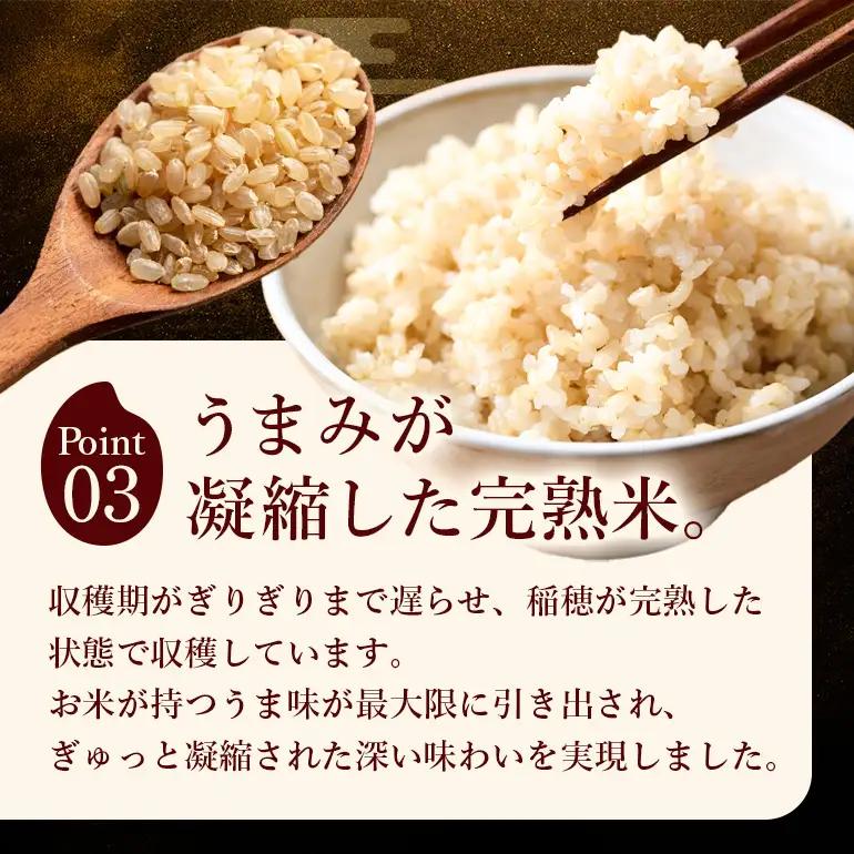 令和8年 新米 玄米 ひのひかり 2kg ぶんぶんファーム