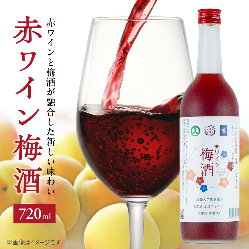 【ふるさと納税】赤ワイン梅酒2025 720ml 赤ワイン 梅酒 飲みやすい 紀州南高梅 梅 お取り寄せ 和歌山県 湯浅町 送料無料