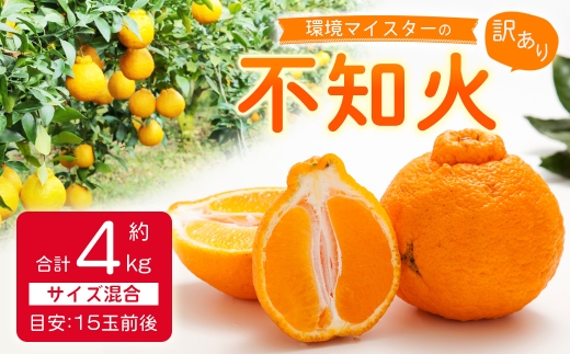 環境マイスターの不知火 訳あり 4kg（栽培期間中は無肥料・低農薬） くだもの 果物 フルーツ 不知火 しらぬい みかん 柑橘 【2027年2月上旬-5月上旬迄順次発送予定】