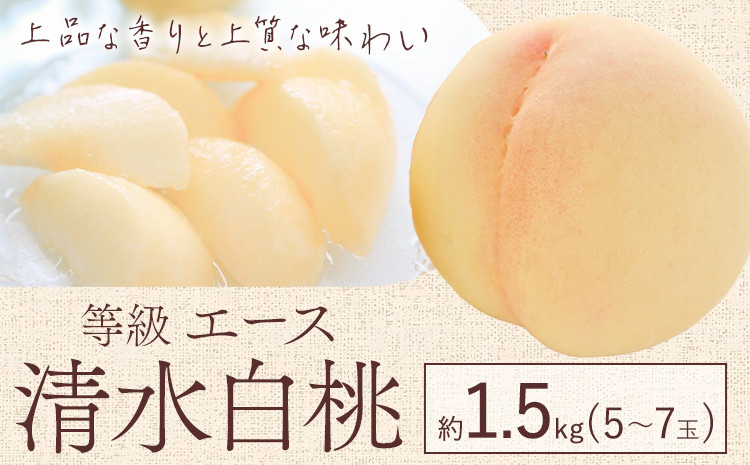 
            【2026年先行予約】清水 白桃 等級 エース 約1.5kg 5～7玉入りもも モモ 岡山 国産 フルーツ 果物 ギフト 桃茂實苑《2026年7月中旬-8月上旬頃出荷》岡山県 浅口市 フルーツ モモ 果物 青果 旬 白桃 国産 岡山県産【配送不可地域あり】
          