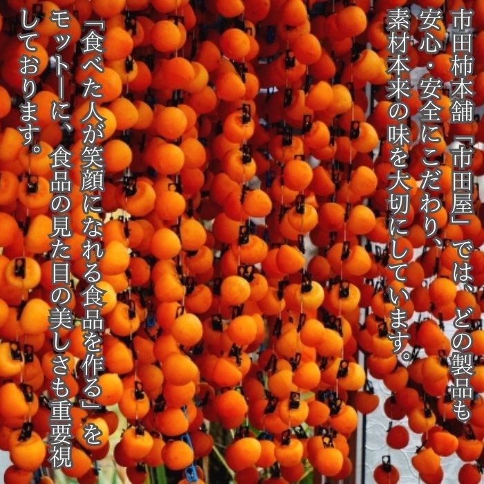 市田柿 柿チップ（100g×6袋）ひとくちサイズ