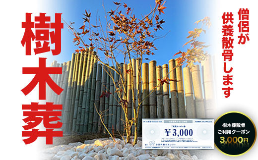 SK01003 樹木葬散骨ご利用クーポン 3,000円 ふるさと納税 供養 お墓 樹木葬 散骨 献花 お祈り 先祖 命日 お盆 お彼岸カンシャ 千葉県 大多喜町 送料無料