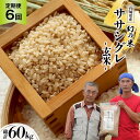 【ふるさと納税】6回 定期便 希少品種米 ササシグレ 玄米 10kg×6回 総計60kg / 長沼 太一 / 宮城県 加美町