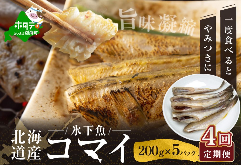 【定期便】北海道 産 干し こまい [ 200g × 5パック ]× 4ヵ月 【全 4回 】