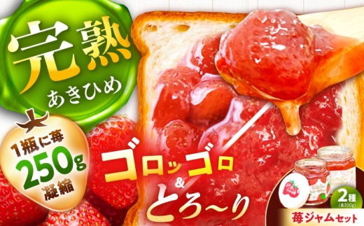 苺ジャム2種セット / あきひめ 国産 栄養 効果 美味しい 瓶詰め ギフト 贈答 / 恵那市 / 阿部農園 [AUGA004]
