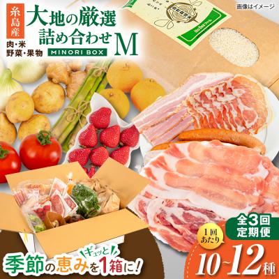 ふるさと納税 糸島市 全3回定期便 糸島産 肉 米 野菜 果物 厳選詰め合わせ MINORI BOX M [AOP012]