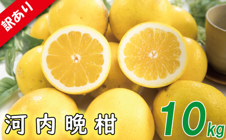 【順次発送中】訳あり 河内晩柑 サイズ不揃い 約10kg 【VEG0301】