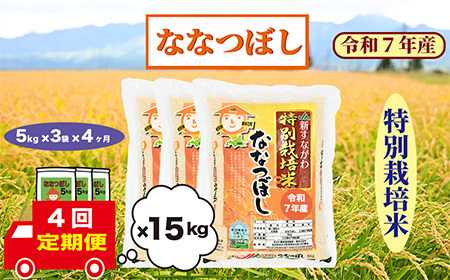 【定期便4回】北海道奈井江町　特別栽培米　ななつぼし　15kg