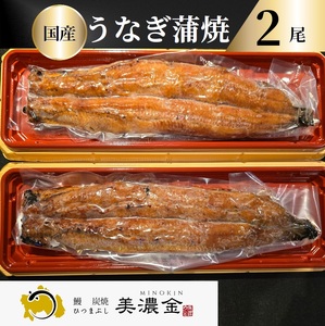 1036 美濃金　神田本店　炭焼　国産うなぎ蒲焼２
