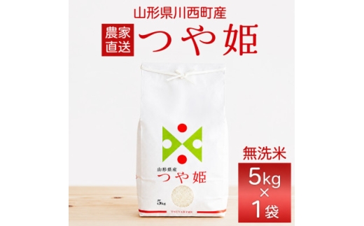 令和7年産　山形県産　つや姫　無洗米　5kg【1746670】