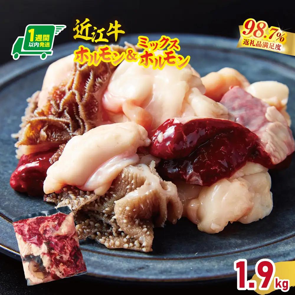 【1週間以内発送】数量限定 希少近江牛ホルモン＆ミックスホルモン 合計1.9kg【FO05W】 近江牛 ホルモン 牛肉