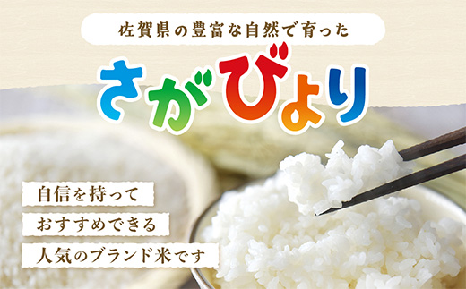 さがびより 新米 令和7年産 佐賀県産 ５kg 白米 C-174 【15年連続 特A評価】