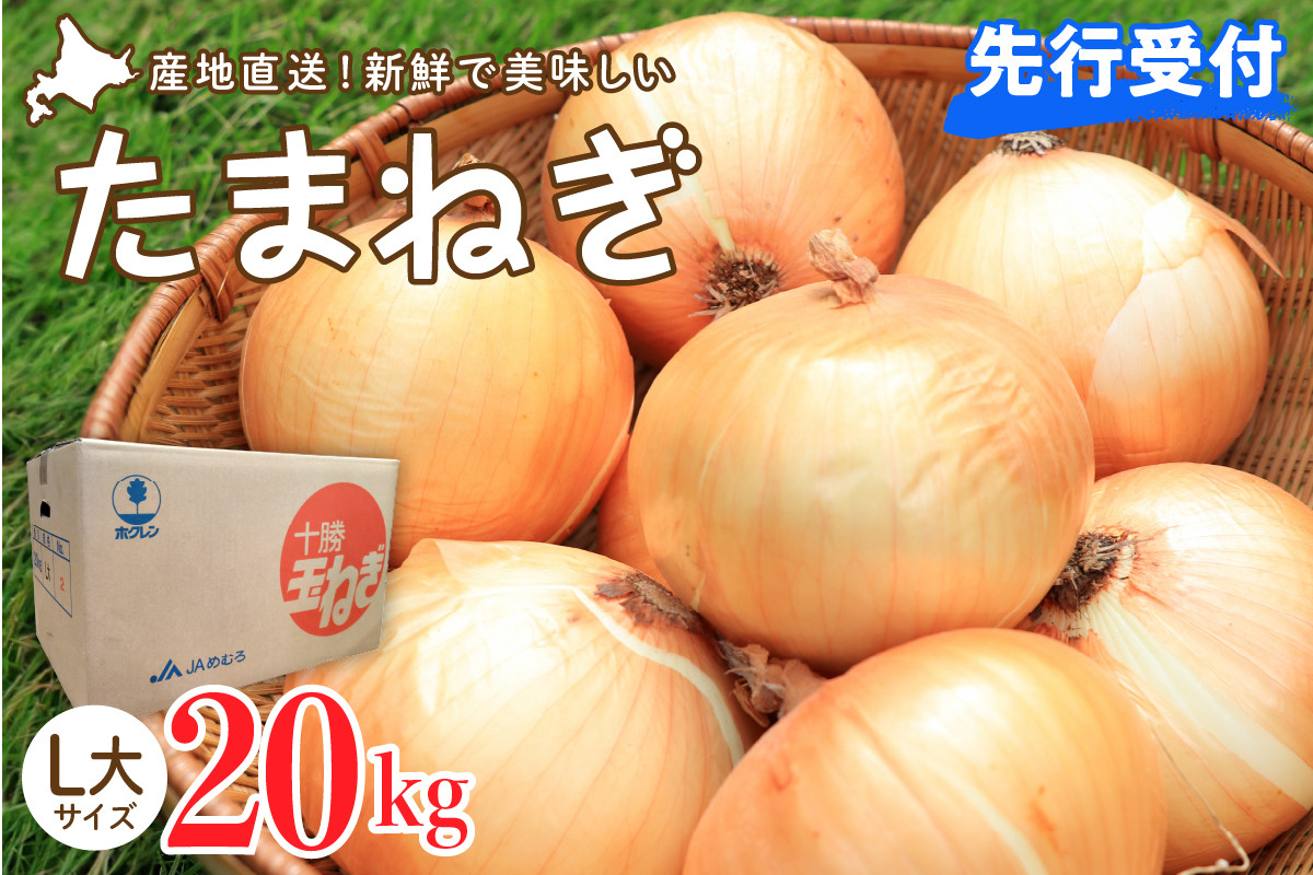 
            【2025年産先行受付】【10月上旬より発送】北海道十勝めむろ産　たまねぎ L大サイズ 20kg me010-011c-25
          