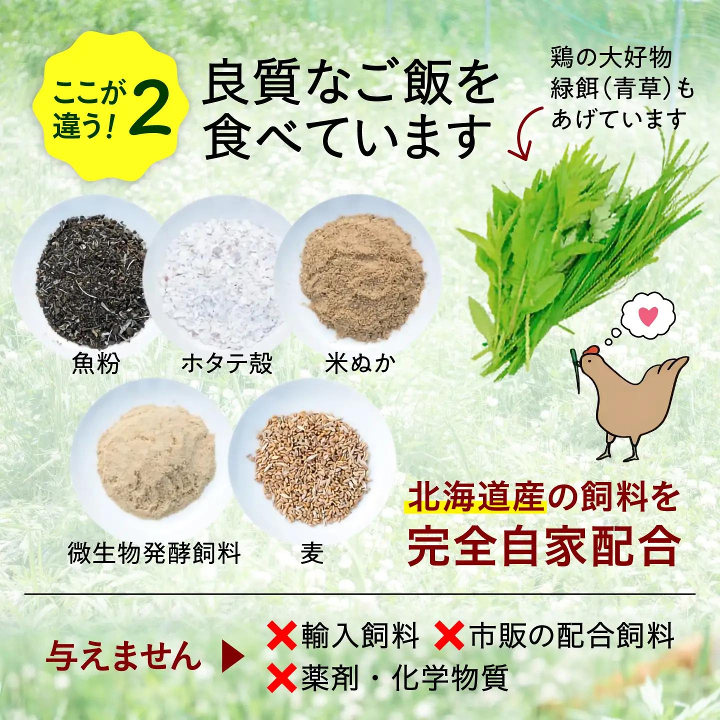 【卵 定期便 12ヵ月】たまご 平飼い 有精卵 25個 冷蔵 [AXAN006]