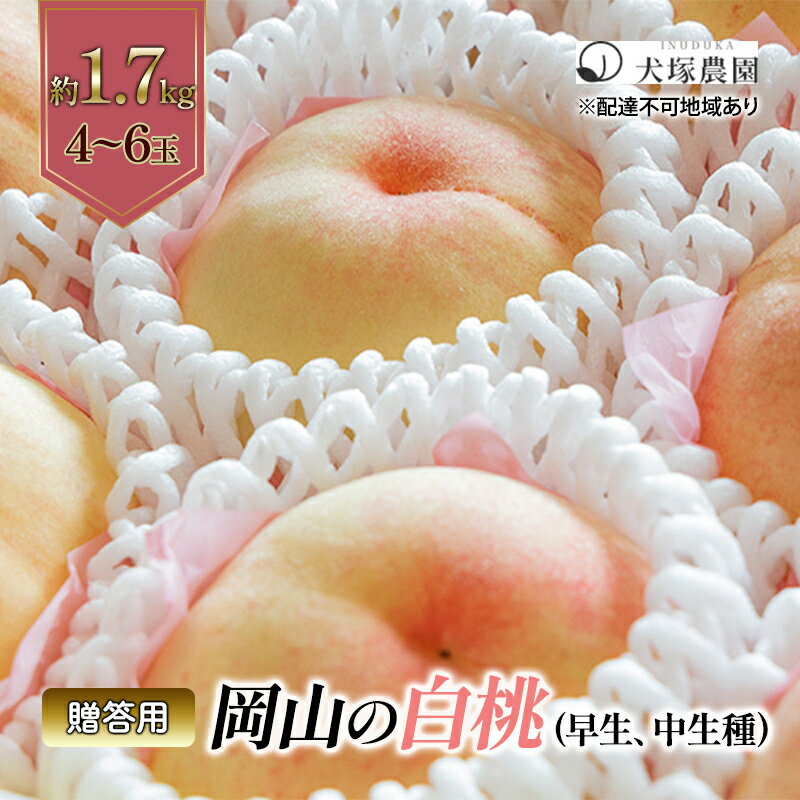 【ふるさと納税】桃 2026年 先行予約 贈答用 岡山の 白桃（早生、中生種）約1.7kg 4～6玉 岡山県 フルーツ もも 桃 モモ ピーチ 人気 新鮮 フルーツ 桃 フルーツ もも 桃 ギフト くだもの 桃 もも 果物 フルーツ 桃 もも 　お届け：2026年6月下旬～2026年8月中旬