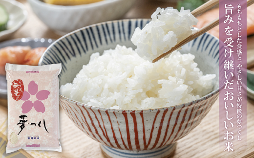 無洗米 福岡ブランド米3品種セット(各5kg) 無洗米 むせんまい 米 コメ 5kg×3 品種 いろいろ 3種 キャンプ 研がなくていい TWR 15kg 箱入り 手間なし カンタン 簡単 福岡 夢つ