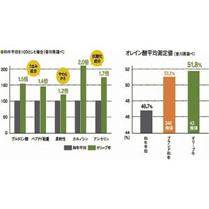 オリーブ牛　スジ・煮込み用　1000g
