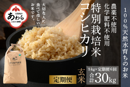 【先行予約】【令和6年産】《定期便6回》コシヒカリ 玄米 5kg （計30kg）特別栽培米 化学肥料不使用  ＜温度と湿度を常時管理し新鮮米を出荷！＞ / 伊与衛門農園の特別栽培米 高品質 鮮度抜群 福井県 あわら市産 ブランド米 R6 新米 北陸 お米 ご飯 ※2024年9月下旬より順次発送予定