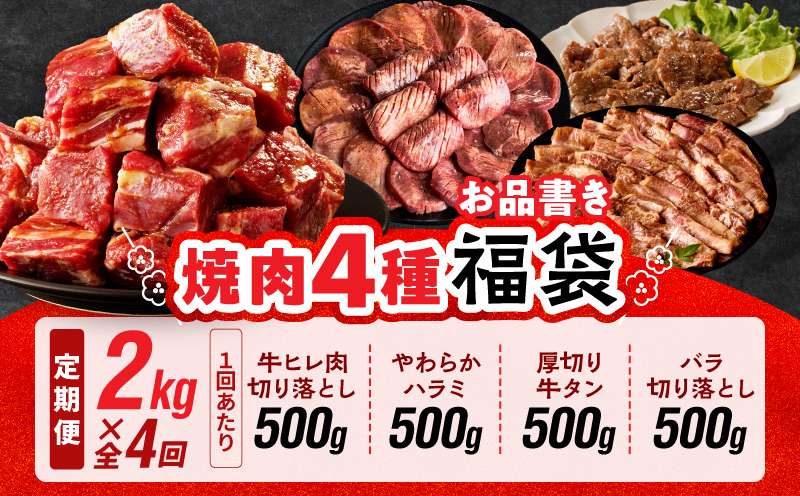 焼肉 福袋 4種セット 定期便 2kg×4回【氷温熟成×特製ダレ 食べ比べ 小分け 500g 牛肉 牛タン ヒレ ハラミ バラ 数量限定 毎月配送コース】 mrzZ028