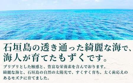 石垣島産 海人の味付け海雲(もずく) 1kg （250g×4） KS-1