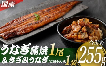 九州産うなぎ蒲焼×1尾 + 国産きざみうなぎ ごぼう入り（タレ付き）×1袋 セット_ss0138