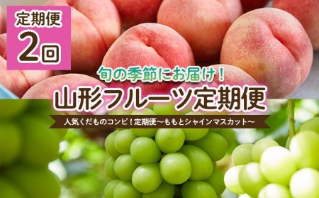 【定期便2回】人気くだものコンビ！定期便～ももとシャインマスカット～ 【令和8年産先行予約】FS25-601 くだもの 果物 フルーツ 山形 山形県 山形市 2026年産