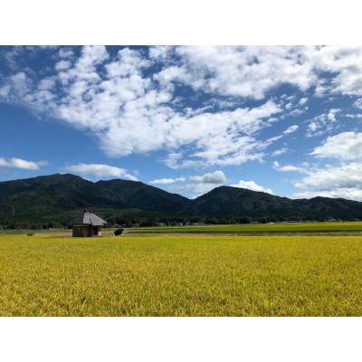 ふるさと納税 五泉市 【毎月定期便】[3回定期便]特別栽培米コシヒカリ「南郷米」玄米10kg(5kg×2袋)全3回 |  | 01
