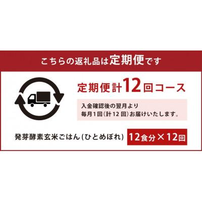 ふるさと納税 九重町 【毎月定期便】レンジ対応!3日寝かせ発芽酵素玄米ごはん 12食分【冷凍】全12回 |  | 01