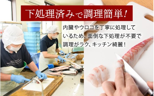 若狭湾鮮魚セット おまかせ 3kg以上（6～8魚種）【2月配送】