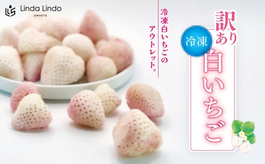 訳あり 冷凍 白いちご Linda Lindo 1袋 500g | 訳アリ 希少 苺 イチゴ いちご プレゼント 贈り物 ギフト 贈答 岐阜県 北方町