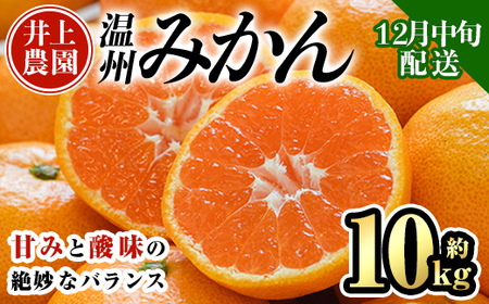 ＜先行予約受付中！12月中旬より順次発送予定＞数量限定 大分県宇佐市産 温州みかん(約10kg)みかん ミカン 蜜柑 柑橘 フルーツ 果物 くだもの 果実 国産【103620500】【井上農園】