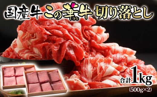 宮崎有田牧場オリジナルブランド『この華牛』切り落とし 1kg（500g×2パック）　国産牛＜14-9a＞★