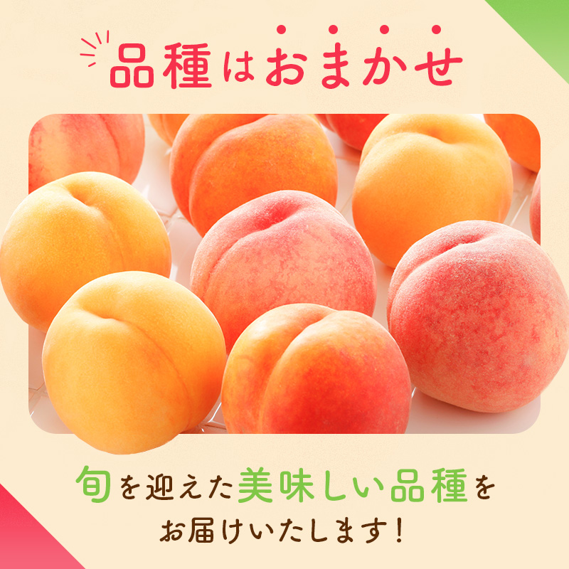 2026年先行予約 家庭用の桃 福島県産 品種おまかせ 約5kg 7月出荷分 数量限定 期間限定 桃 もも モモ 果物 くだもの フルーツ F21C-083 約5kg 7月出荷分