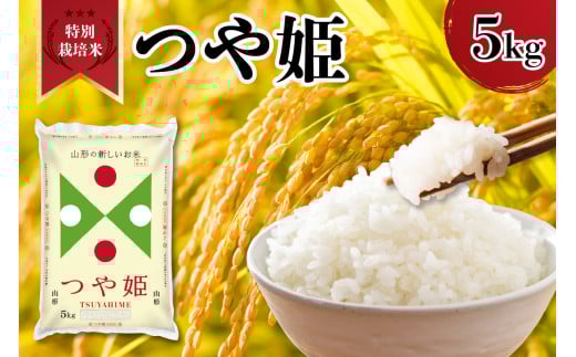 令和7年産 山形県産 特別栽培米 つや姫 5kg 精米 白米 2025年産 産地直送 山形県 米沢市