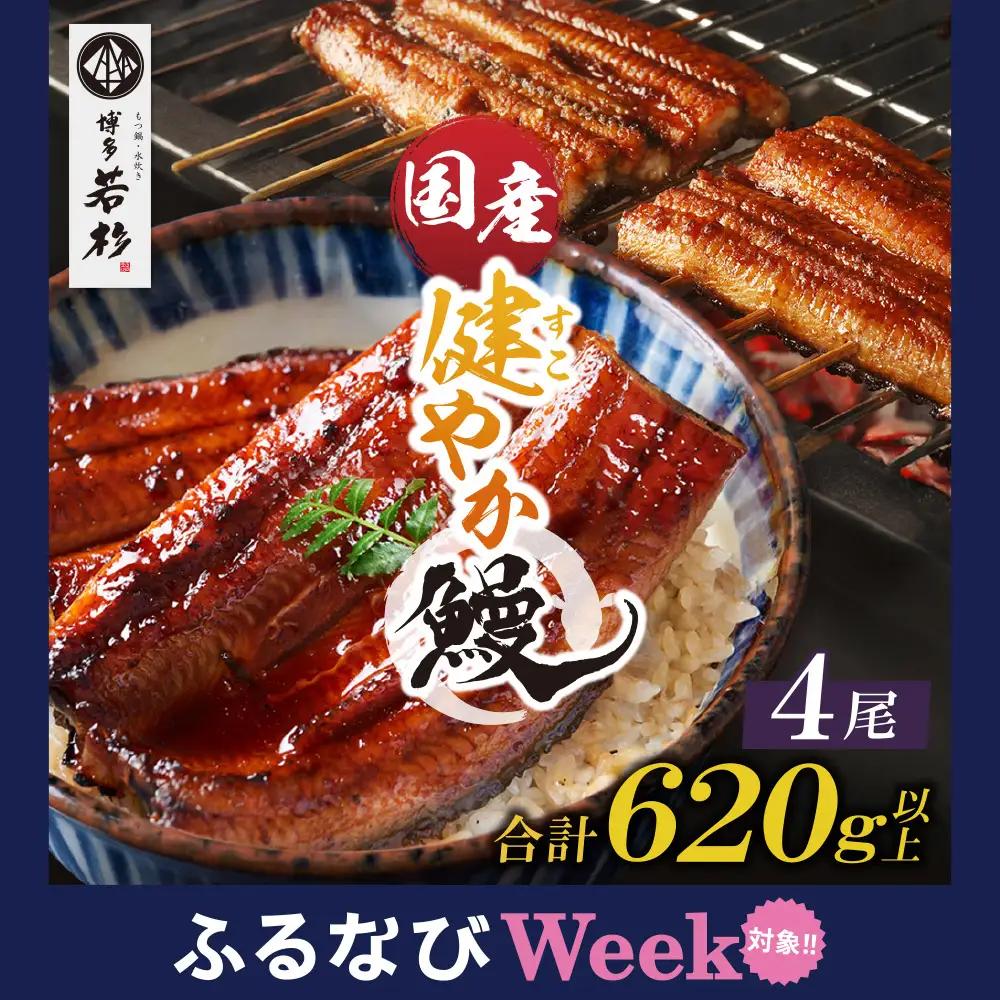 Z61-68F 健やか鰻 国産うなぎ蒲焼（無頭）4尾（計620g以上） うなぎ