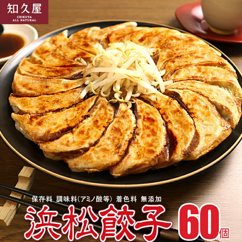【ふるさと納税】浜松餃子 60個 (20個×3袋) セット 詰め合わせ 餃子のタレ 小袋 知久屋 国産 ぎょうざ 餃子 ギョーザ 冷凍餃子 静岡 静岡県 浜松市 【配送不可：離島】