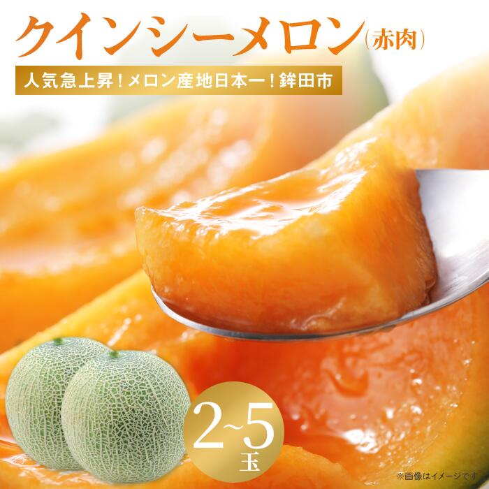 【ふるさと納税】メロン めろん 赤肉が美味しい！クインシーメロン(2～5個入） 選べる内容量 さんて旬菜館