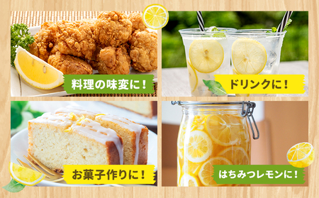 レモン 訳あり 3kg レモン